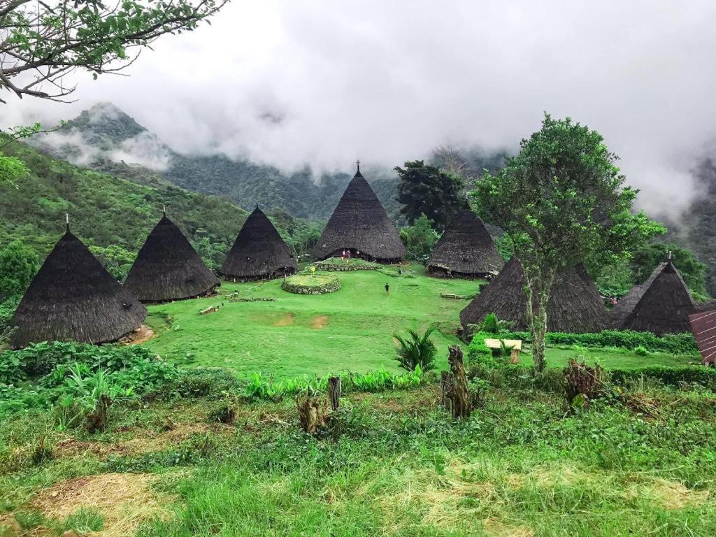 Komodoku One Love Homestay And Tour Labuan Bajo Exterior foto